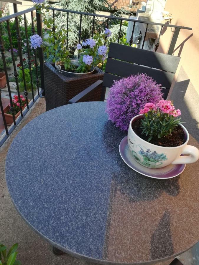 Studio Apartman Providence Σίμπενικ Εξωτερικό φωτογραφία